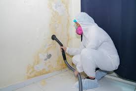 Why You Should Choose Our Mold Remediation Services in Deridder, LA